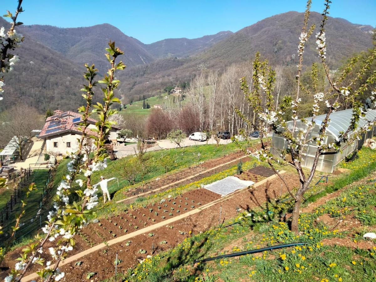 Agriturismo Ca' Fenile Alzano Lombardo Zewnętrze zdjęcie