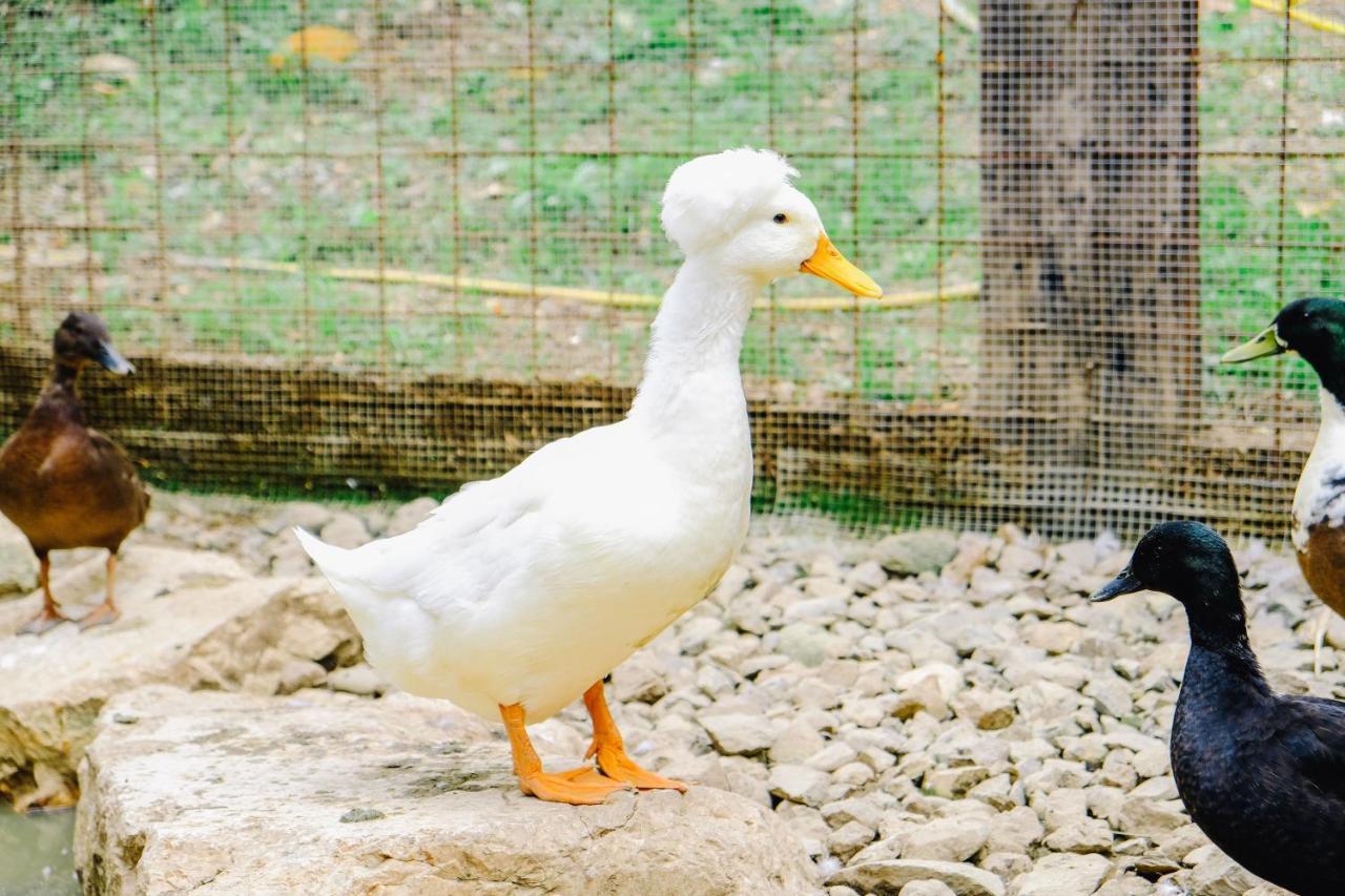 Agriturismo Ca' Fenile Alzano Lombardo Zewnętrze zdjęcie