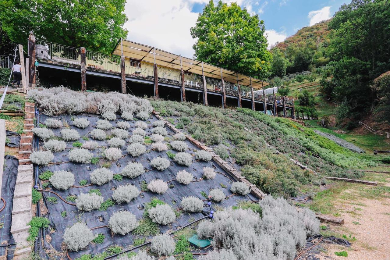 Agriturismo Ca' Fenile Alzano Lombardo Zewnętrze zdjęcie