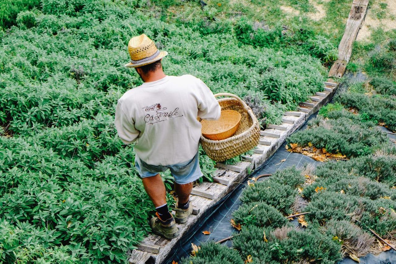 Agriturismo Ca' Fenile Alzano Lombardo Zewnętrze zdjęcie