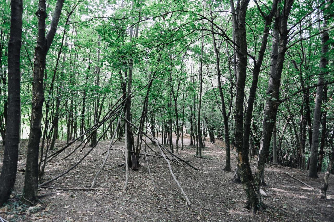 Agriturismo Ca' Fenile Alzano Lombardo Zewnętrze zdjęcie