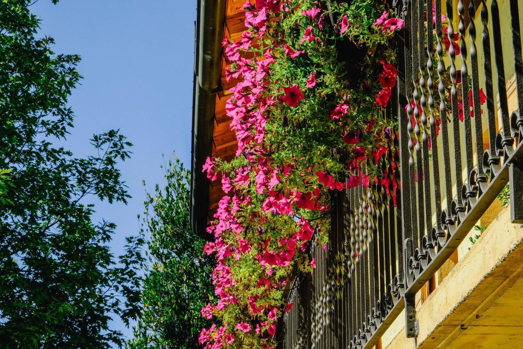 Agriturismo Ca' Fenile Alzano Lombardo Zewnętrze zdjęcie